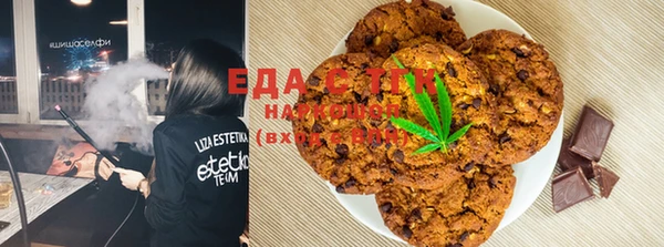 хмурый Алзамай