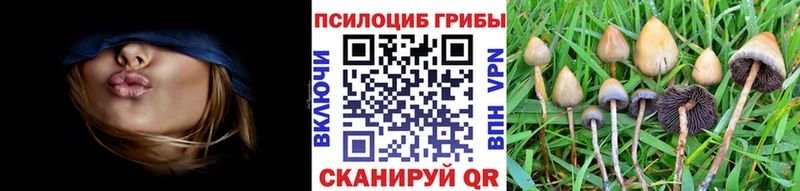 Галлюциногенные грибы прущие грибы  Махачкала 