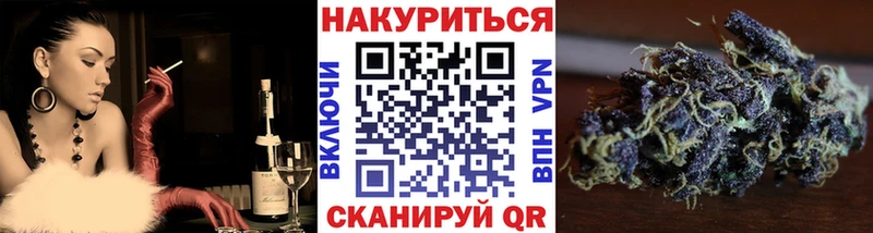 Бошки Шишки семена  MEGA онион  Махачкала 